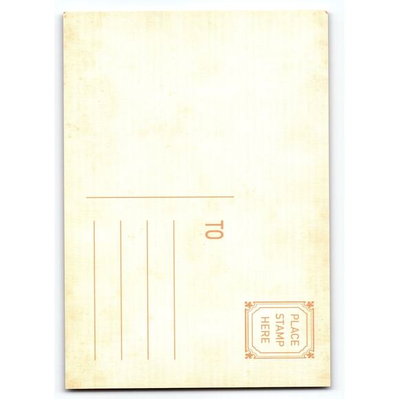 Vintage Halloween Witch Girl & Black Cat 5.5x4 Photochrome Postcard - Picture 2 of 2